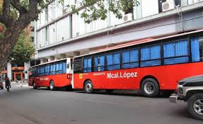 colectivo