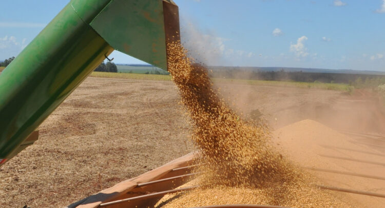 Exportaciones de soja se recuperaron en el tercer trimestre