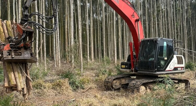 En áreas forestales, las excavadoras Link‑Belt X3E garantizan productividad y ahorro